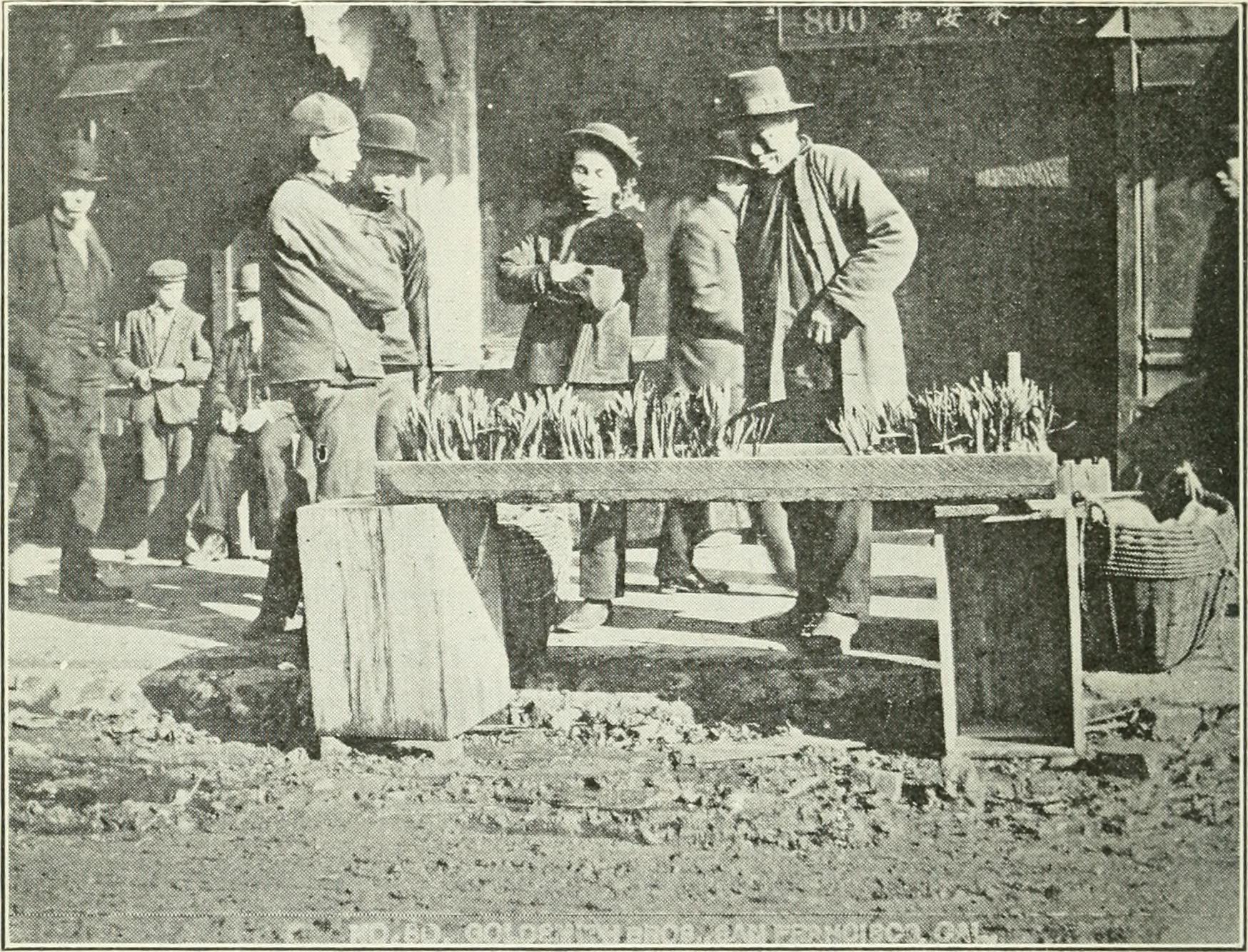 Capitalism: A Global History and Why We Still Can’t Agree on It