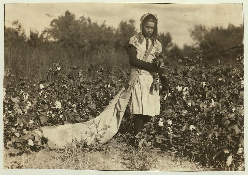 1280px no known restrictions picking cotton by lewis w hine 1916 loc