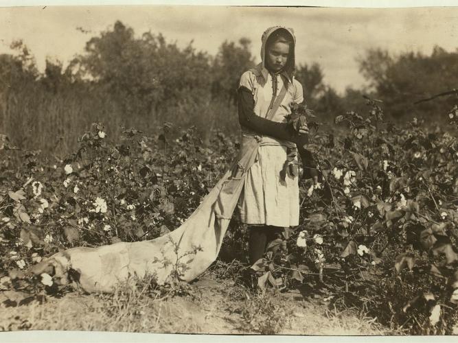 1280px no known restrictions picking cotton by lewis w hine 1916 loc