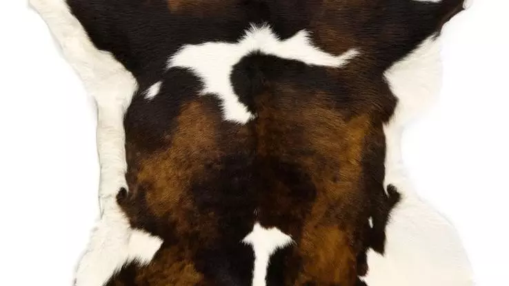hide